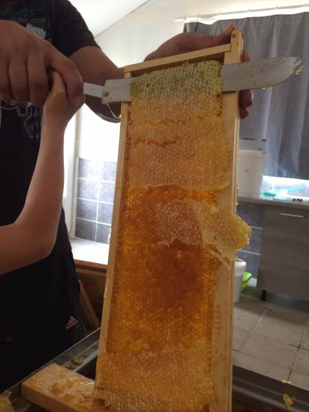 cire d'opercule 100 % française naturelle d'abeille dans le Périgord